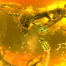 screenshot02.jpg