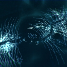 Screenshot05.jpg