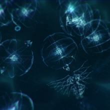 Screenshot02.jpg