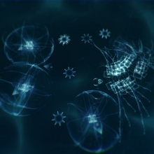 Screenshot03.jpg
